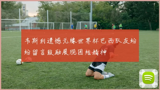 韦斯利遗憾无缘世界杯巴西队友纷纷留言鼓励展现团结精神