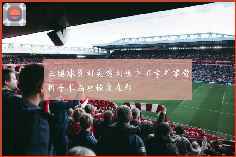 三镇球员刘奕鸣训练中不幸手掌骨折手术成功恢复在即